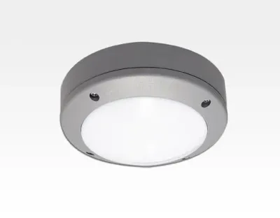 3W LED Wand/Deckenleuchte grau rund Tageslicht Weiß / 6000-6500K 135lm 230VAC IP54 120Grad