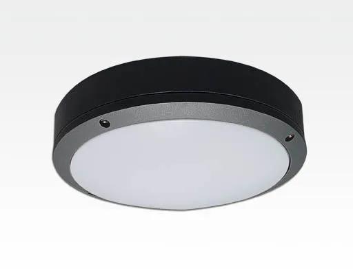 10W LED WandDeckenleuchte anthrazit rund Tageslicht Weiß / 6000-6500K 450lm 230VAC IP54 120Grad