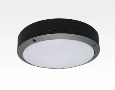 10W LED WandDeckenleuchte anthrazit rund Tageslicht Weiß / 6000-6500K 450lm 230VAC IP54 120Grad — Bild 1