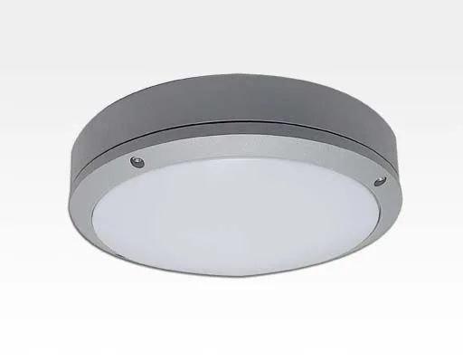 20W LED Wand/Deckenleuchte grau rund Tageslicht Weiß / 6000-6500K 900lm 230VAC IP54 120Grad