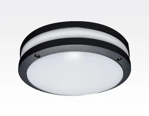 20W LED Wand/Deckenleuchte anthrazit rund Tageslicht Weiß / 6000-6500K 900lm 230VAC IP54 120Grad