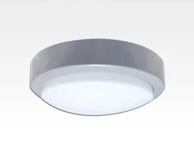 10W LED Wand/Deckenleuchte anthrazit rund Tageslicht Weiß / 6000-6500K 450lm 24VDC IP65 120Grad