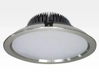 30W LED Einbau Downlight silber rund dimmbar Neutral Weiß / 4000-4500K 3000lm 230VAC IP43 120Grad -Ausstellungsstück mit kleinen Schönheitsfehlern